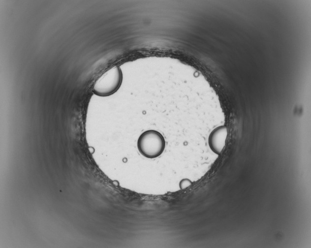 X0000112520918200909141219
