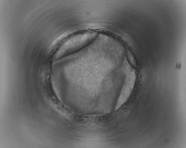 X0000112520920200909141219