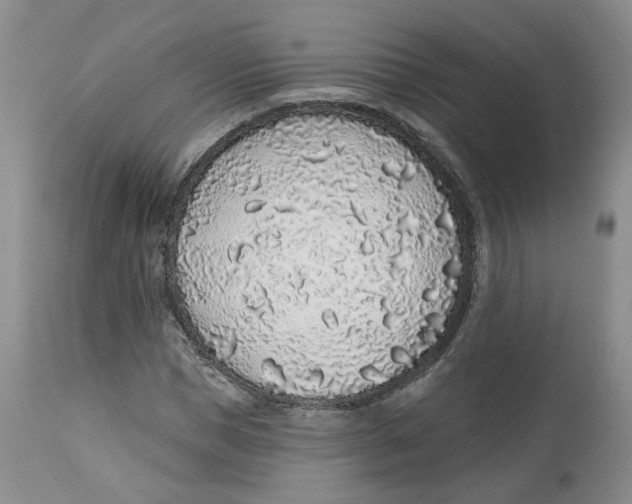 X0000112520921200909141219