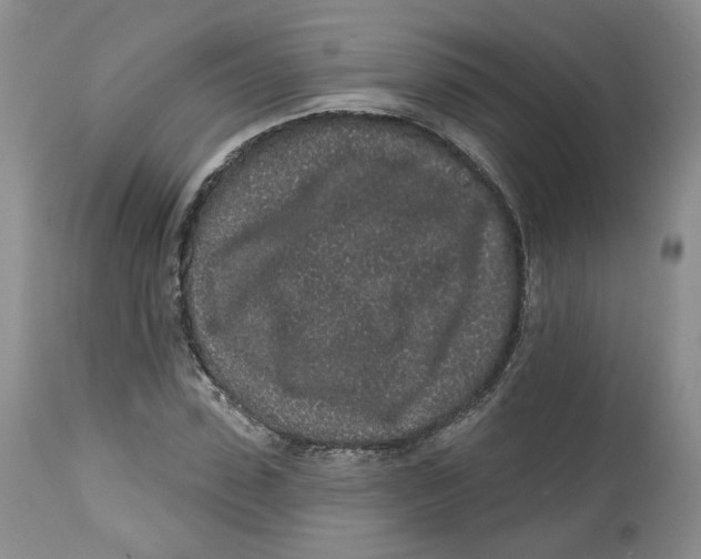 X0000112520923200909141219