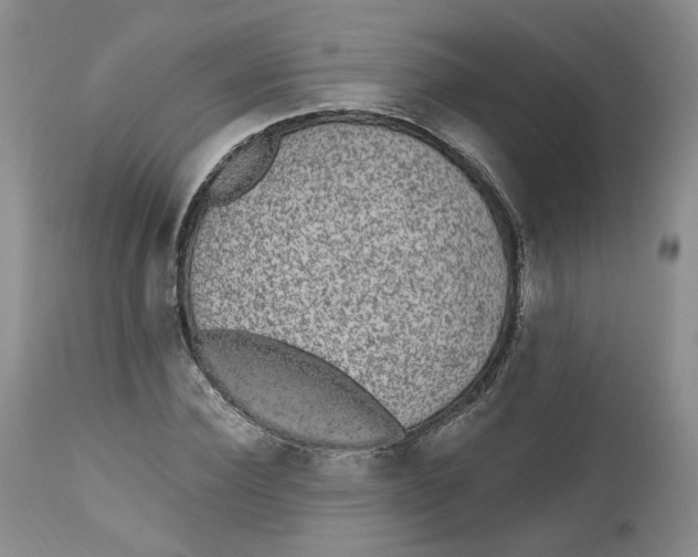 X0000112520924200909141219
