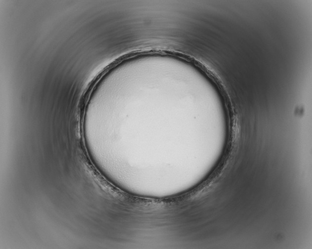 X0000112520925200909141219