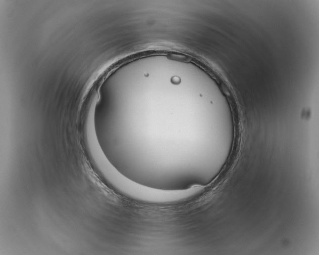 X0000112520931200909141219