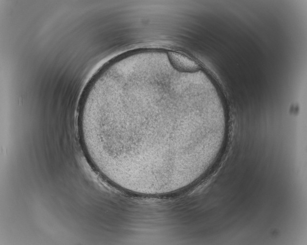 X0000112520932200909141219