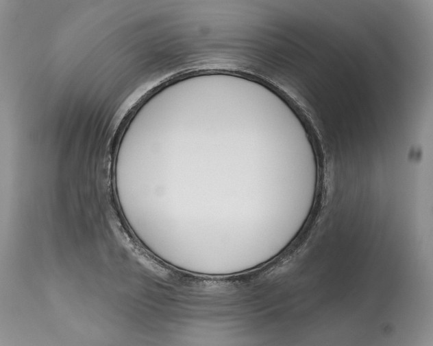 X0000112520933200909141219