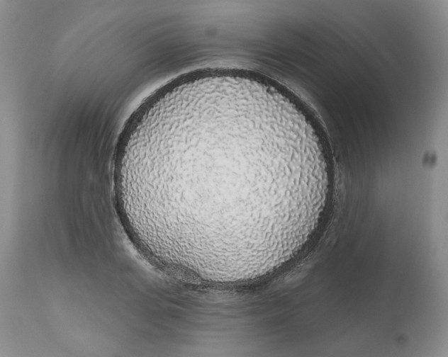 X0000112520935200909141219
