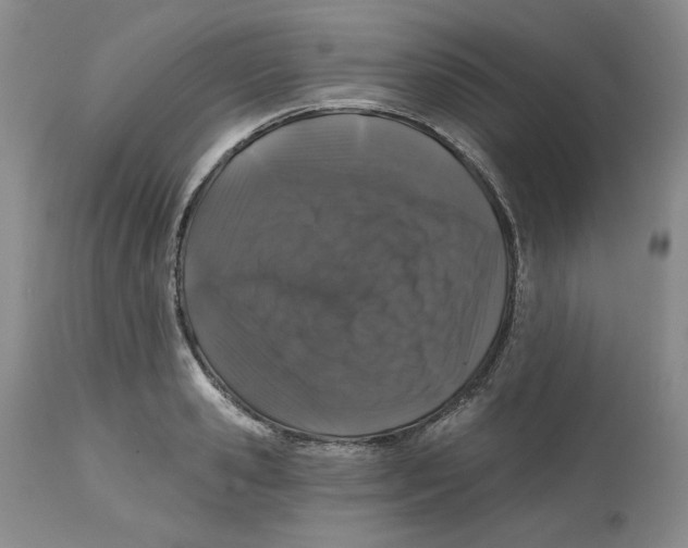 X0000112520941200909141220