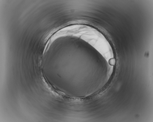 X0000112520945200909141220