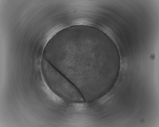 X0000112520946200909141220