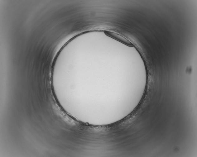 X0000112520948200909141220