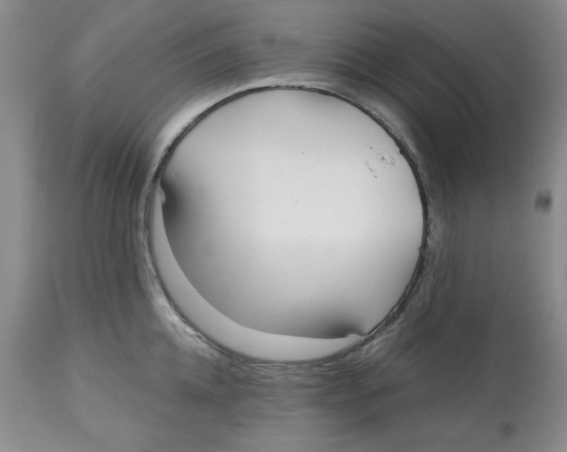 X0000112520952200909141220