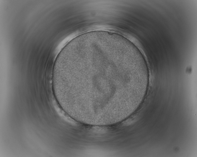 X0000112520954200909141220
