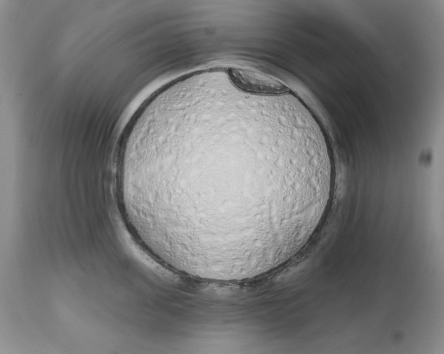 X0000112520955200909141220