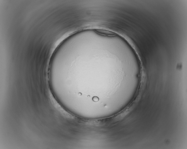 X0000112520957200909141220