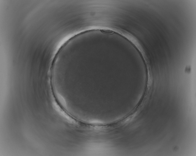 X0000112520958200909141220