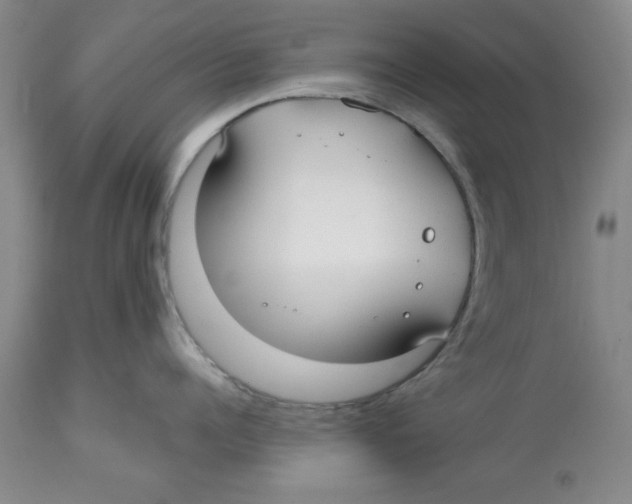 X0000112520960200909141220