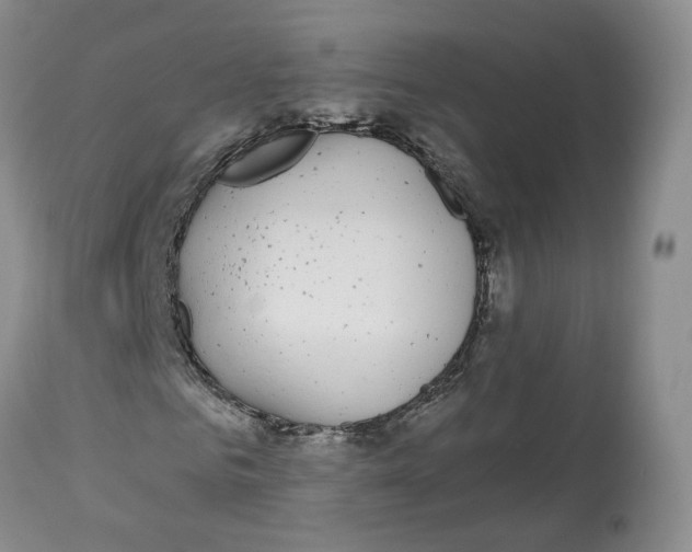 X0000112520961200909141219