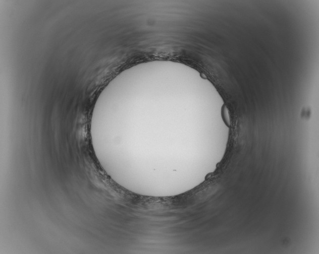 X0000112520962200909141219