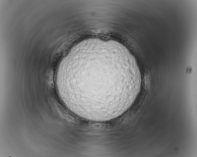 X0000112520963200909141219