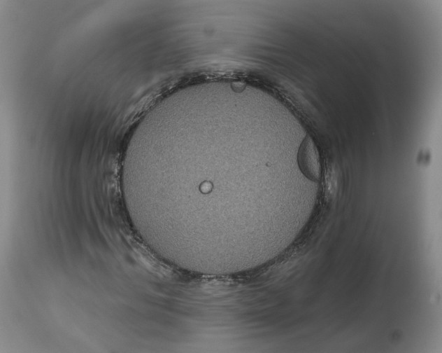 X0000112520964200909141219