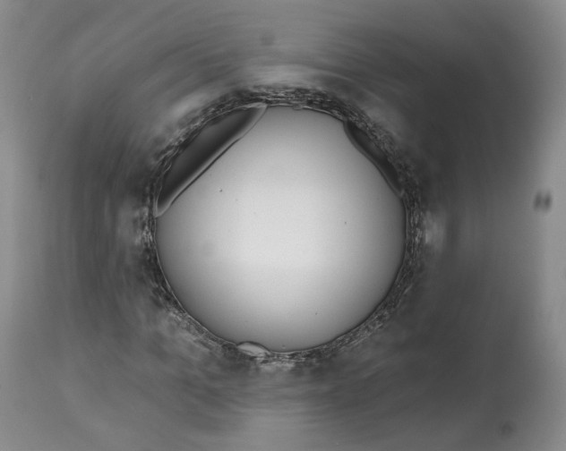 X0000112520965200909141219