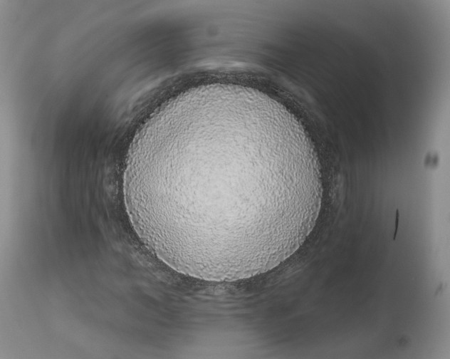 X0000112520966200909141219