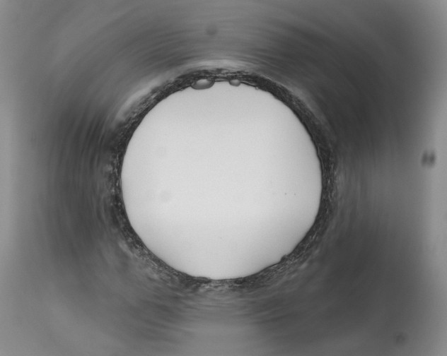 X0000112520967200909141219