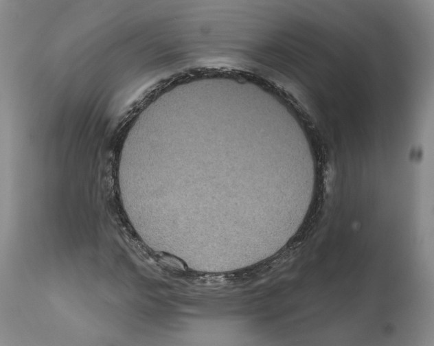 X0000112520968200909141219