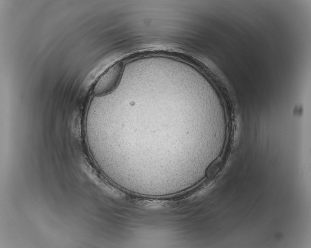 X0000112520969200909141219