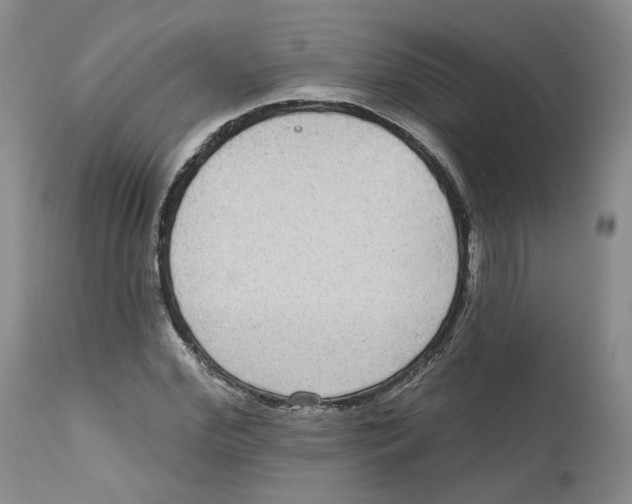 X0000112520972200909141219
