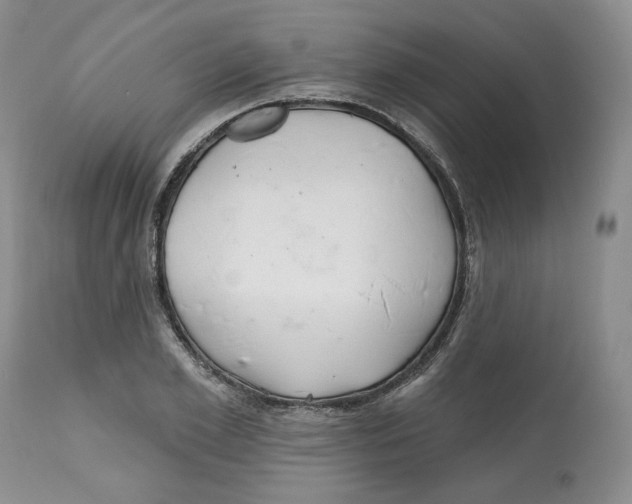 X0000112520981200909141219