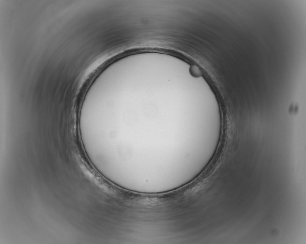 X0000112520982200909141219