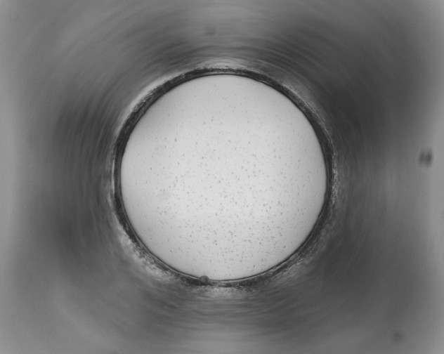 X0000112520984200909141219