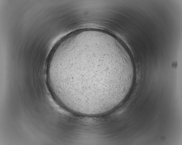 X0000112520987200909141219