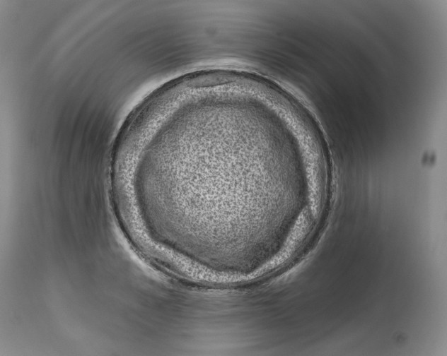X0000112520989200909141219