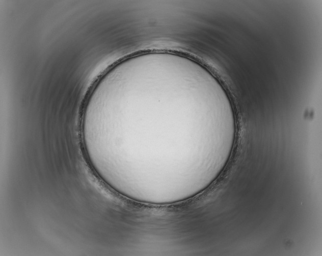 X0000112520990200909141219