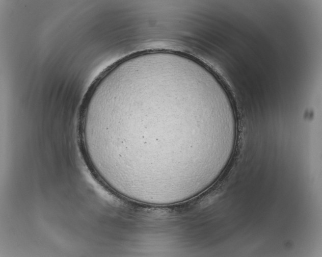 X0000112520991200909141219
