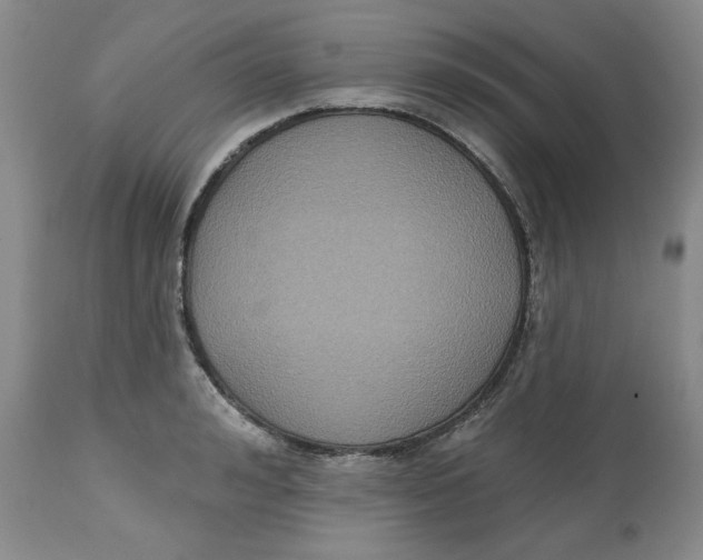 X0000112520992200909141219