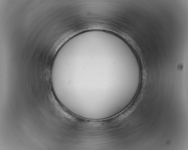 X0000112520993200909141219