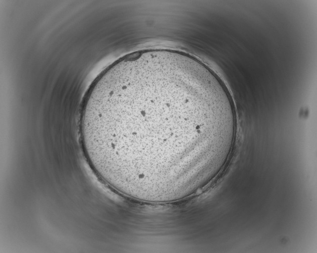 X0000112520997200909141219