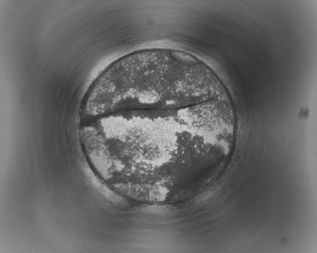 X0000112520998200909141219