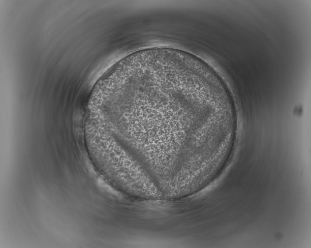 X0000112521001200909141218