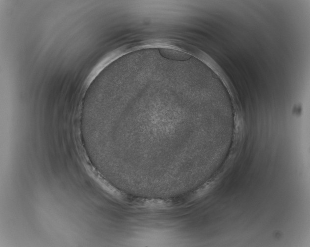 X0000112521002200909141218