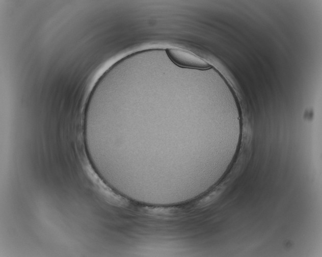 X0000112521004200909141218