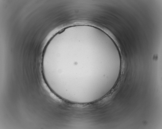 X0000112521005200909141218