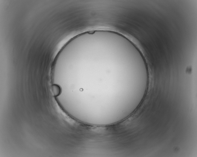 X0000112521006200909141218