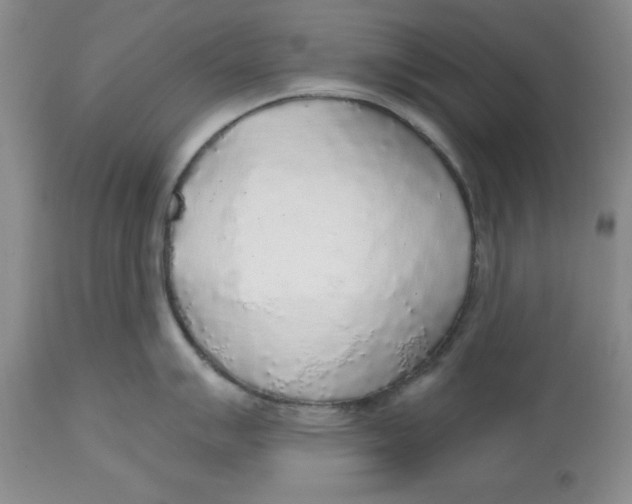 X0000112521007200909141218