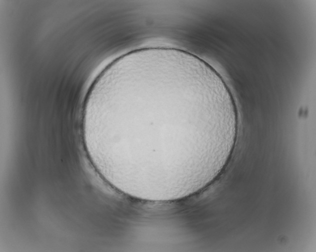 X0000112521008200909141218