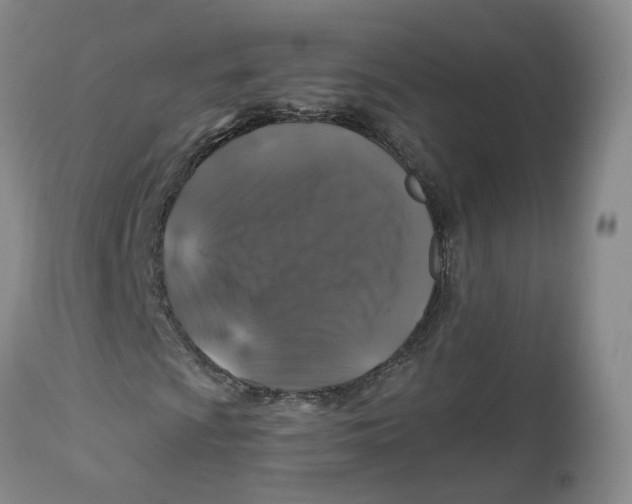 X0000112521009200909141218
