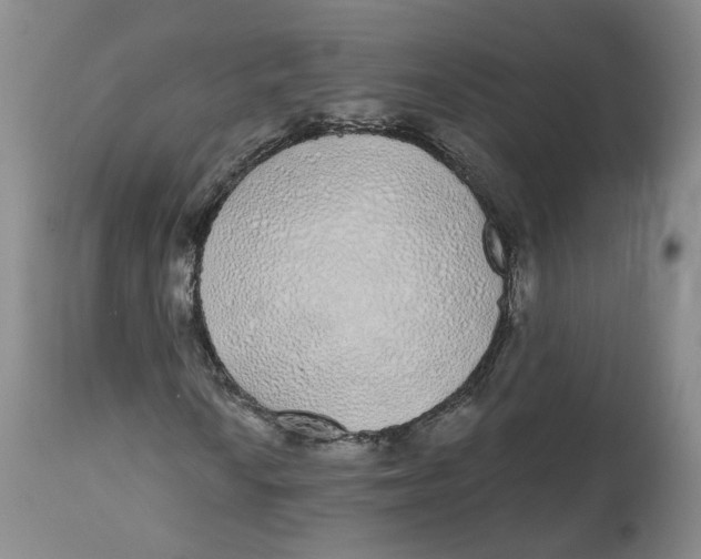 X0000112521010200909141218